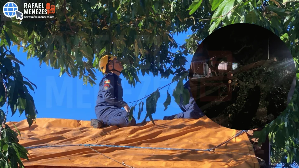 Quando a cidade dorme, há quem esteja pronto para servir
