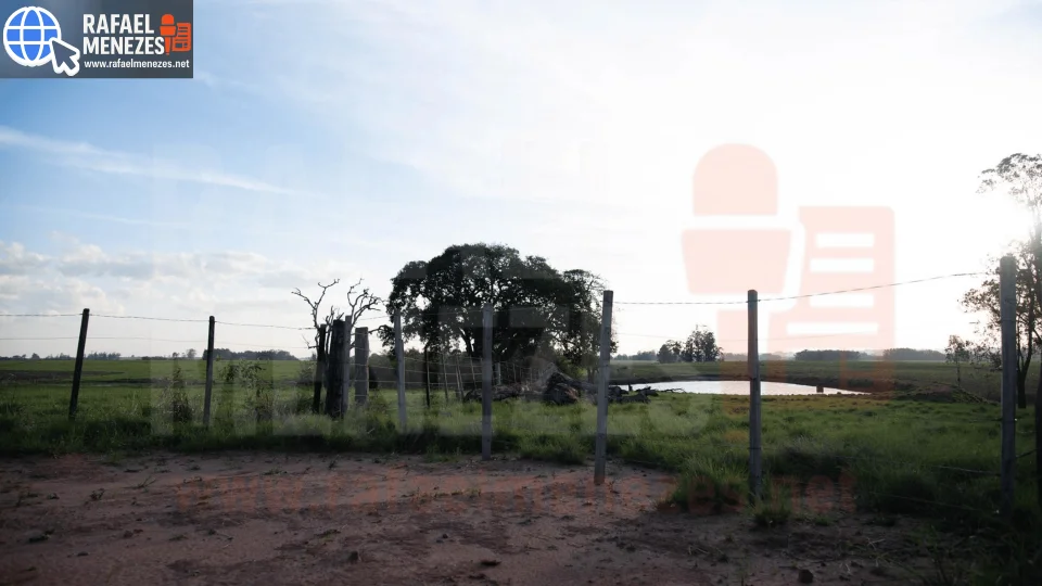 Três pessoas são condenadas por manter mãe e dois filhos em condição análoga à escravidão em Santa Maria
