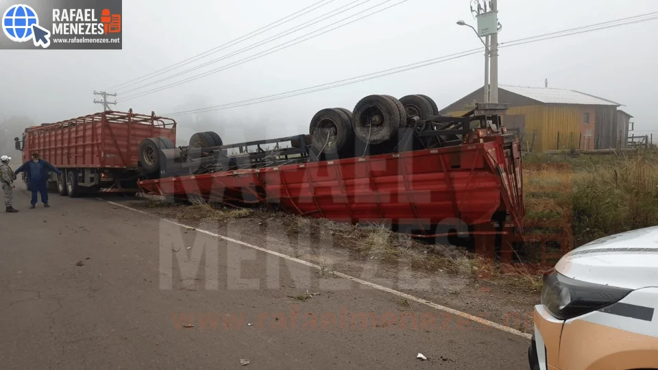 Oito bovinos morrem após tombamento de caminhão na RSC-377 em Santiago