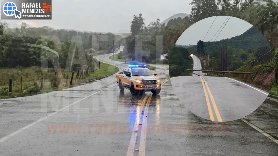 ERS-516 é totalmente bloqueada após queda de postes em São Martinho da Serra
