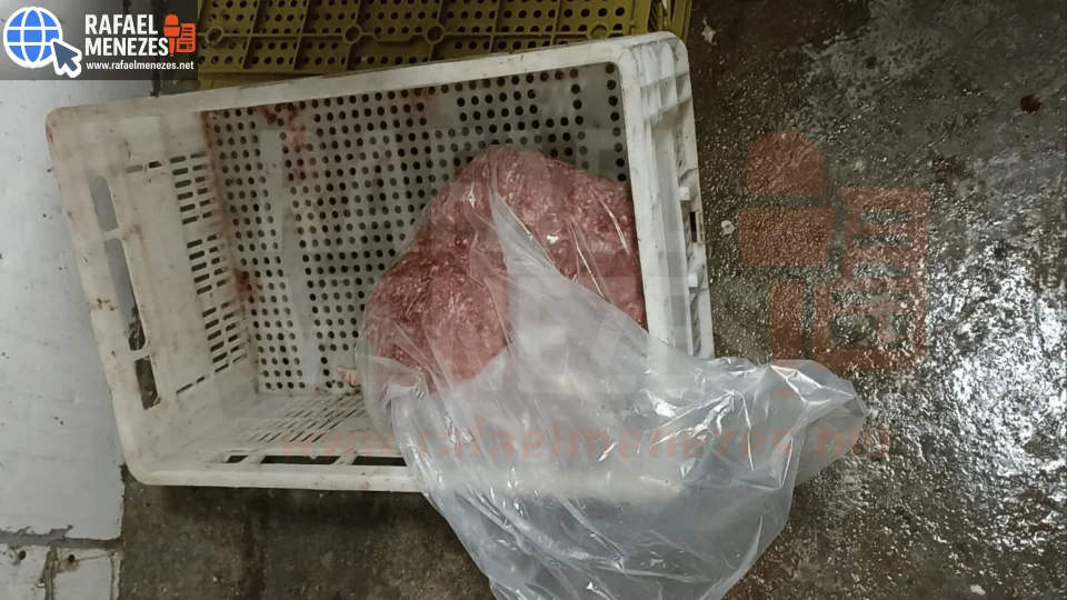 Dois responsáveis por supermercado são presos após apreensão de mais de 120 quilos de alimentos impróprios em Santa Maria