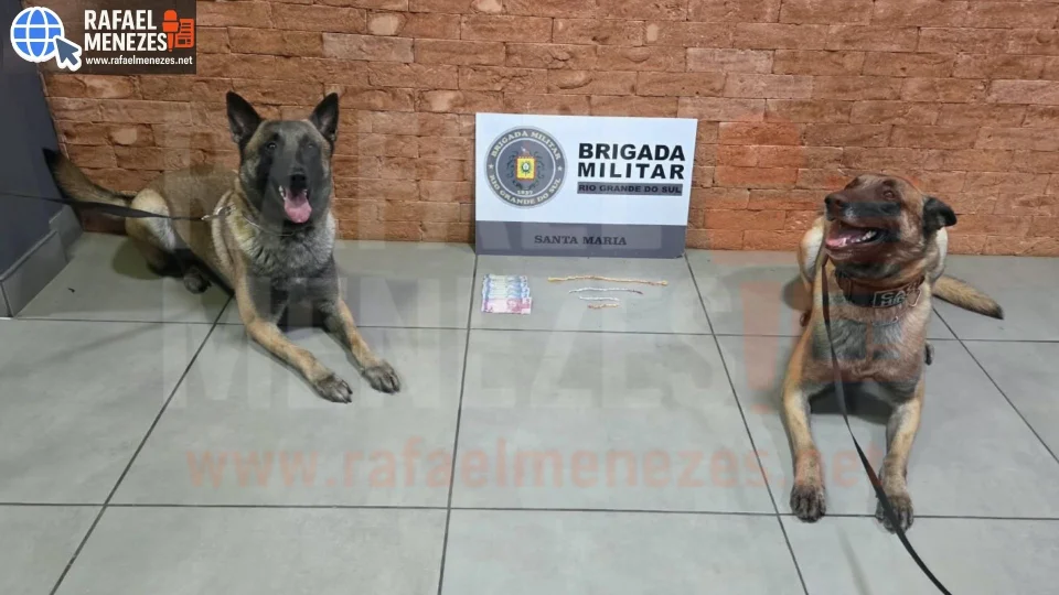 Jovem é detido com mais de 50 porções de crack durante patrulhamento em Santa Maria