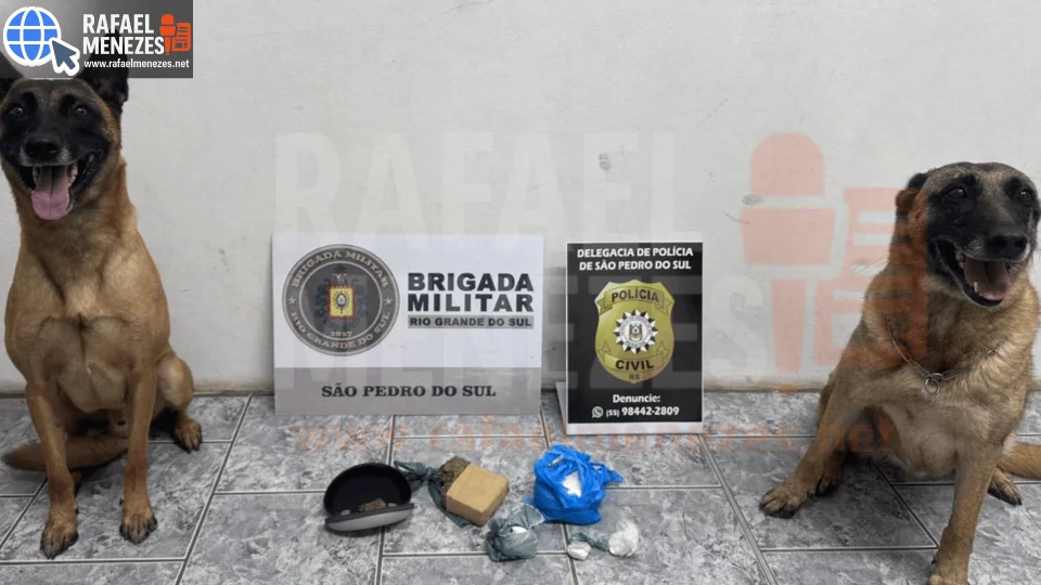 Homem e mulher são presos por tráfico de drogas em São Pedro do Sul