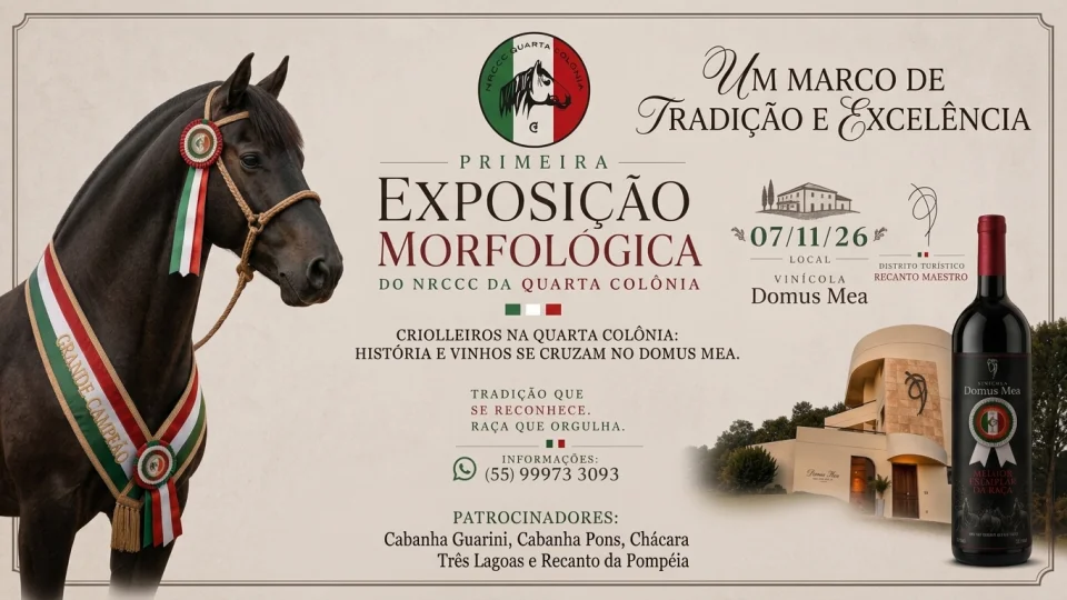 Quarta Colônia terá primeira exposição morfológica de cavalos crioulos