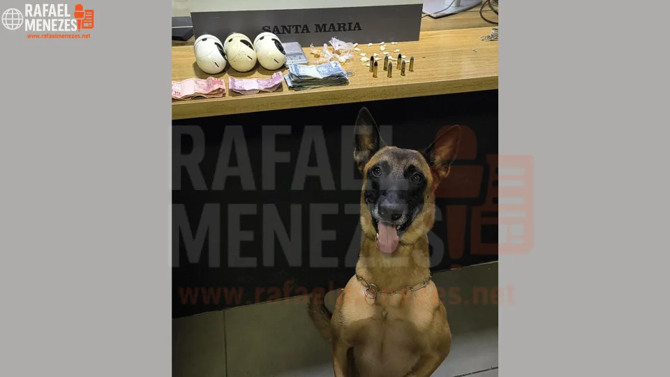 Homem é preso por tráfico de drogas e porte ilegal de munições em Santa Maria