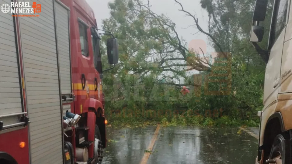 Temporal causa estragos, bloqueia rodovias e deixa casas destelhadas na região