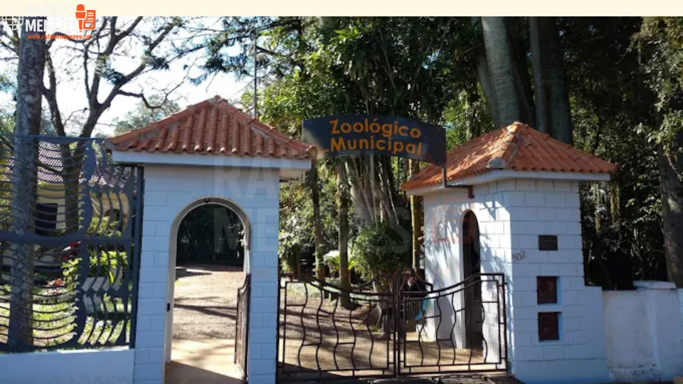 Jovem é preso após invadir zoológico e matar animal em Cachoeira do Sul