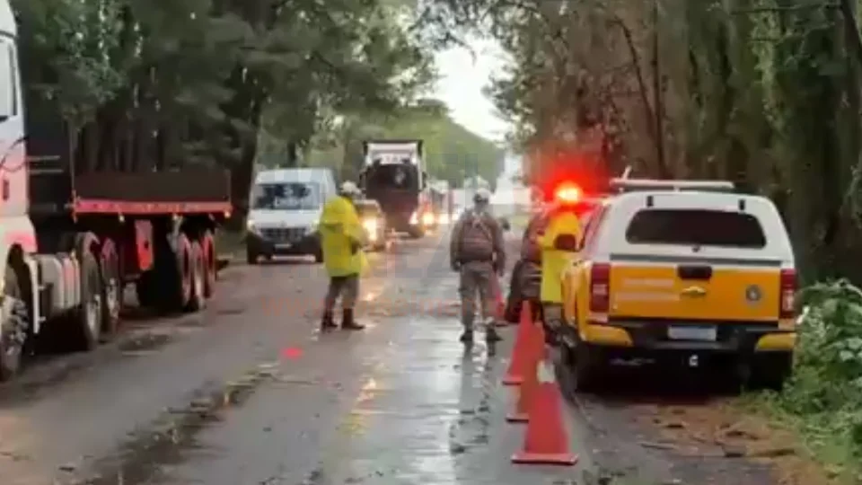 Motorista morre após árvore cair sobre carro em Cruz Alta