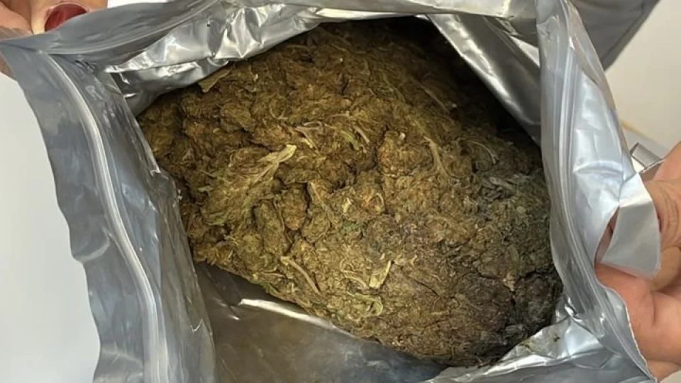 Brigada Militar apreende quase 1kg de maconha em transportadora de Santa Maria