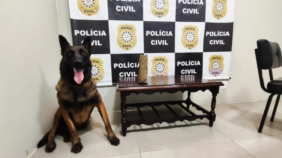 Polícia Civil apreende 750 gramas de maconha enterrada em galpão em São Francisco de Assis