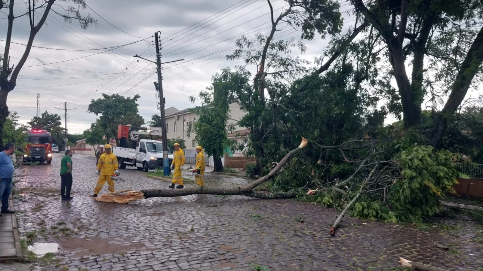 Temporal provoca queda de árvore e danos em Restinga Sêca