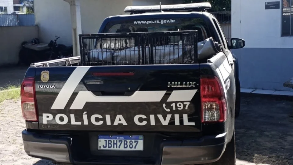 Dois jovens são presos após ações de violência doméstica em Rosário do Sul