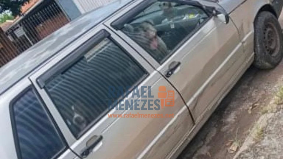 Pitbulls entram em carro com janela aberta e mobilizam equipes de segurança em Santa Maria