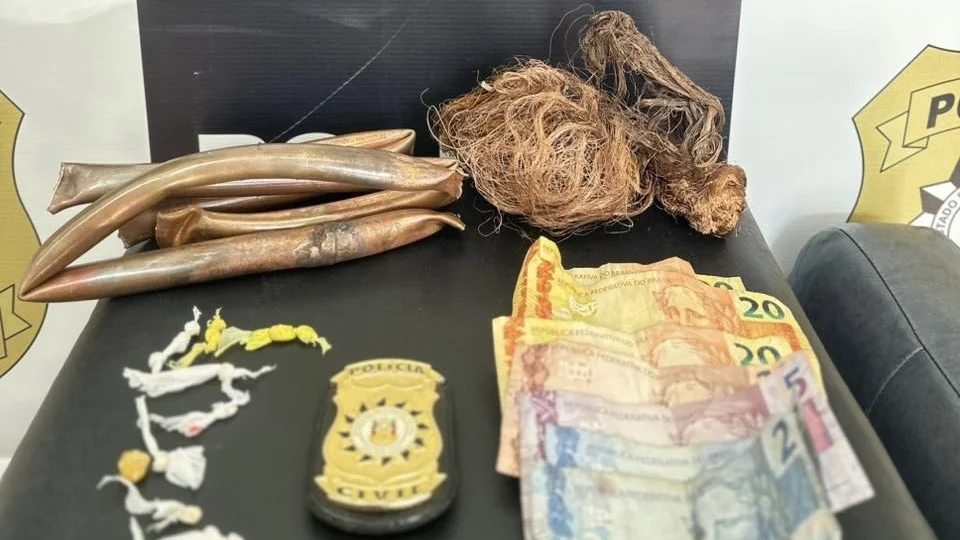 Polícia Civil prende homem por tráfico de drogas e receptação em Santa Maria