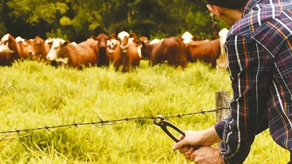 Produtor rural é alvo de terceiro abigeato em três meses em São Martinho da Serra