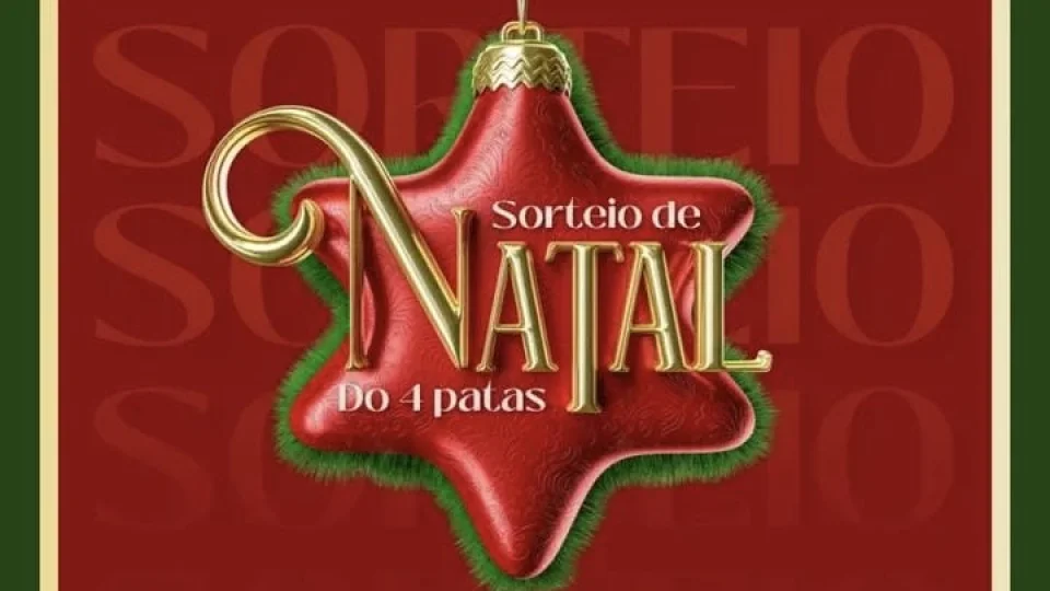 Projeto de Santa Maria realiza sorteio solidário para ajudar animais no Natal