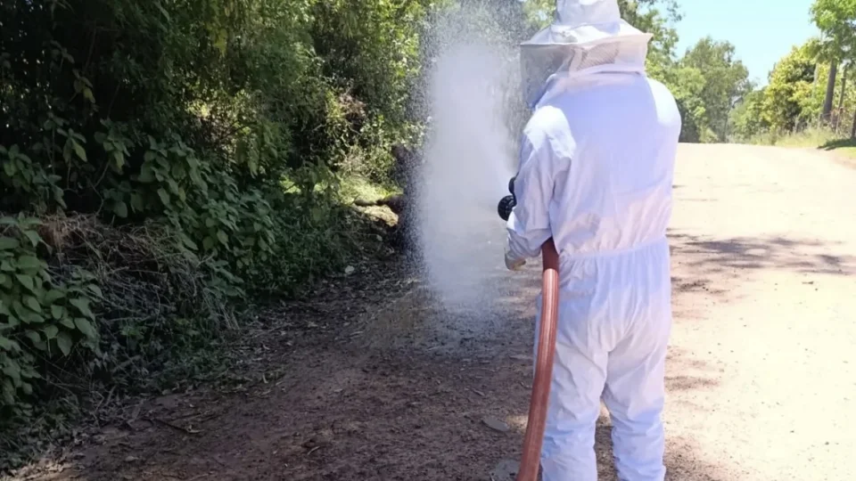 Bombeiros resgatam cavalo após ataque de abelhas em São Pedro do Sul