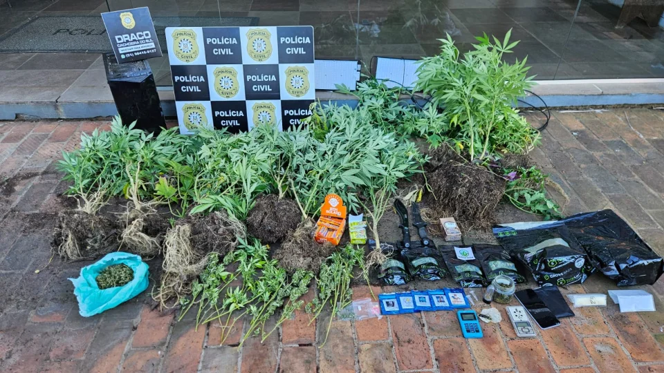 Jovem é preso com quase 40 pés de maconha dentro de casa em Cachoeira do Sul