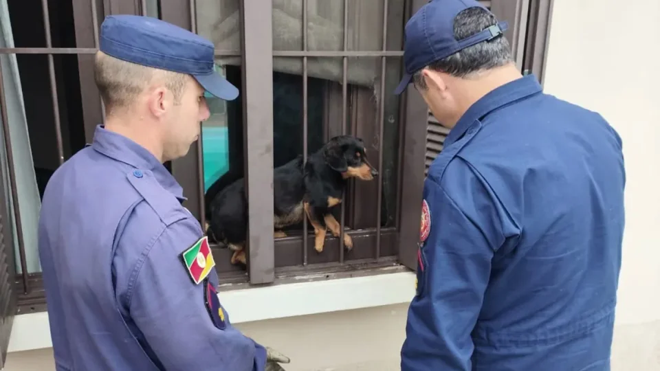 Bombeiros resgatam cachorro preso em janela no bairro Tomazetti