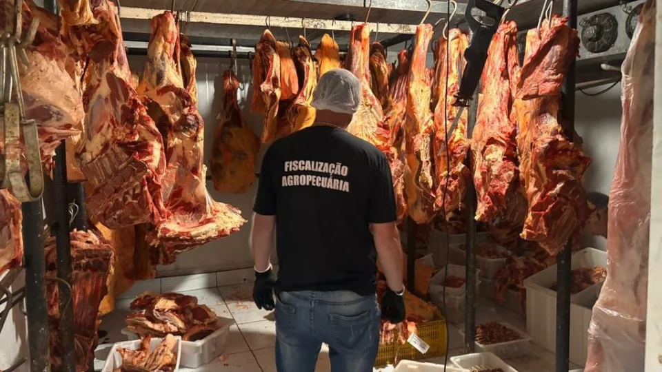 Força-Tarefa interdita açougue e apreende mais de duas toneladas de alimentos impróprios em Santa Maria