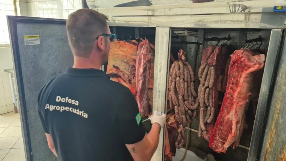 Operação em São Pedro do Sul apreende quase duas toneladas de produtos impróprios para consumo