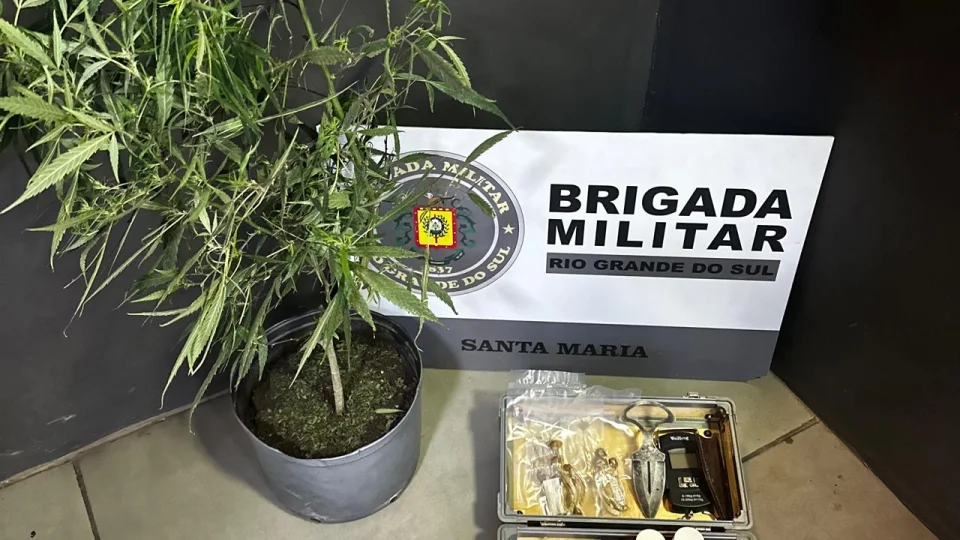 Casal é preso em Santa Maria por furto de energia e com pé de maconha em apartamento