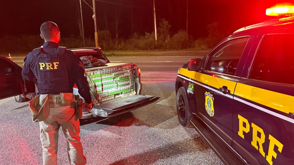 PRF prende homem com 15 mil maços de cigarros contrabandeados após perseguição na BR-153