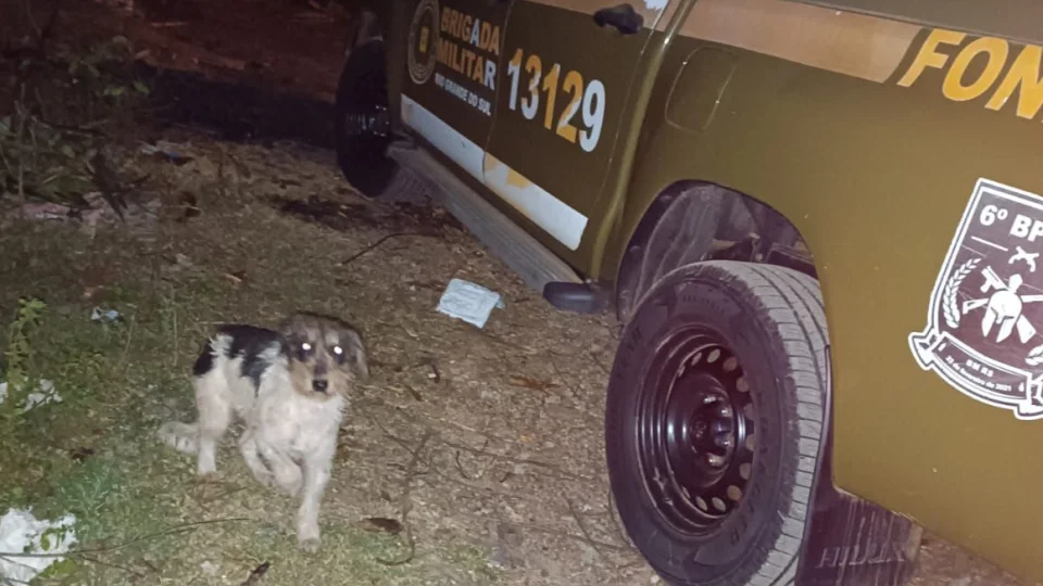 Brigada Militar resgata cão preso e abandonado dentro de sacola plástica