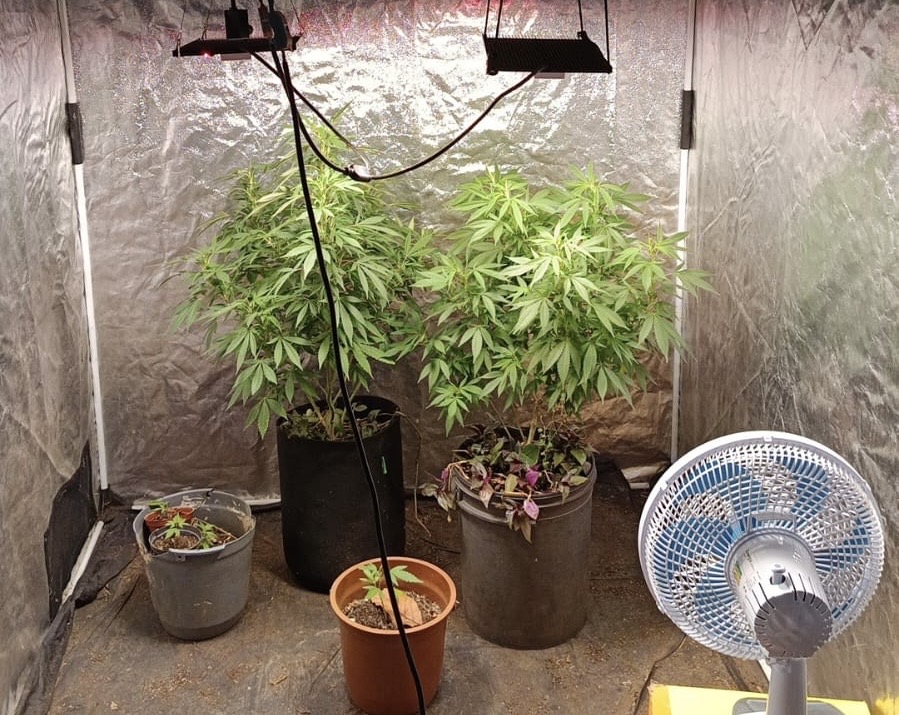 3fae69cc-e1bd-4ef2-92a4-7948b53e1381