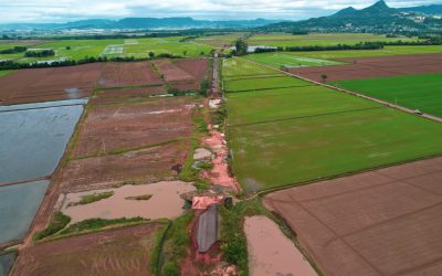 54907855809_9004081564_o