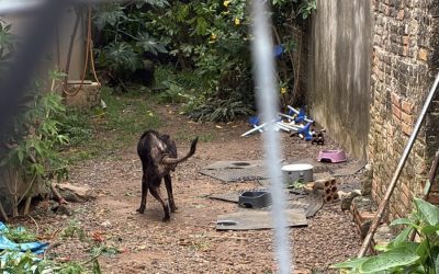 db1dfb77-1678-4800-8042-0f28e893863b