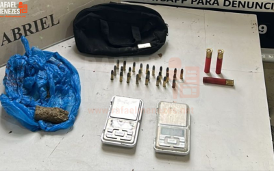 rafaelmeneze.net (1)