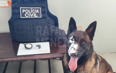 rafaelmeneze.net (1)